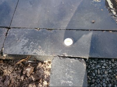 Spots 12 volt